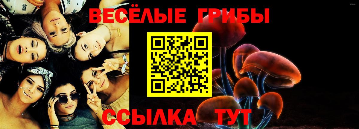 Псилоцибиновые грибы Cubensis Донской